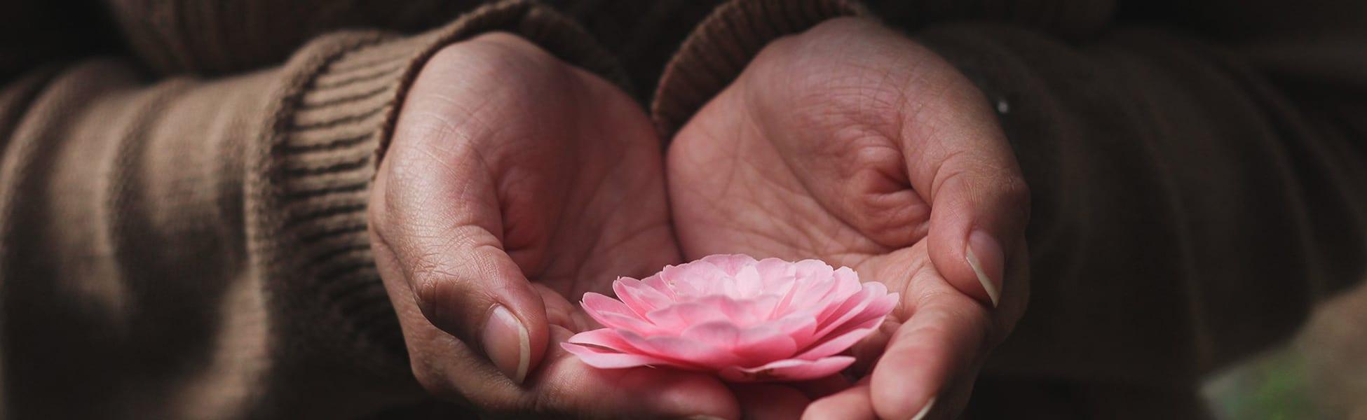 From Hurt To Wholeness