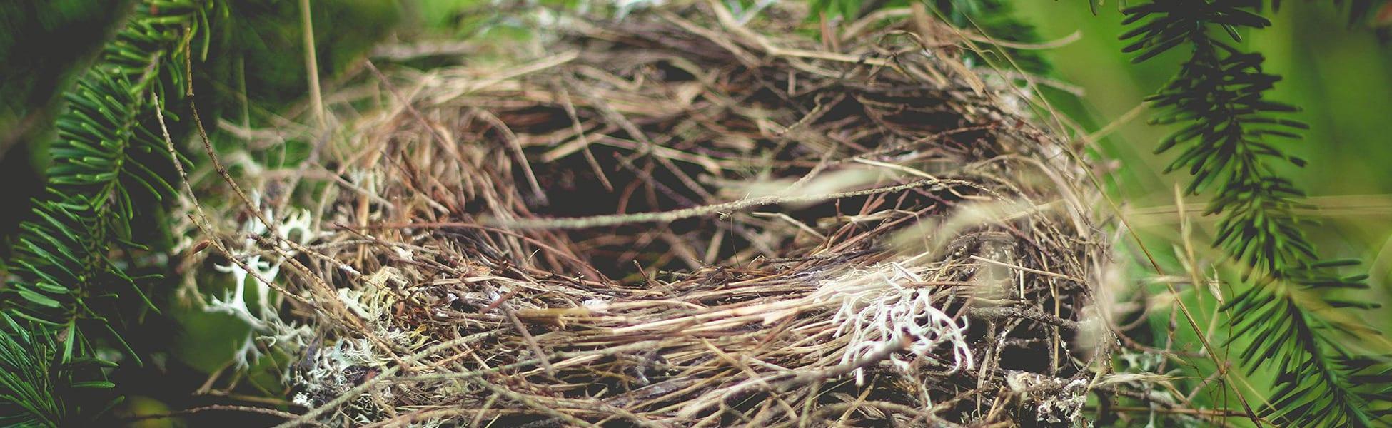 From Nesting To Nesting