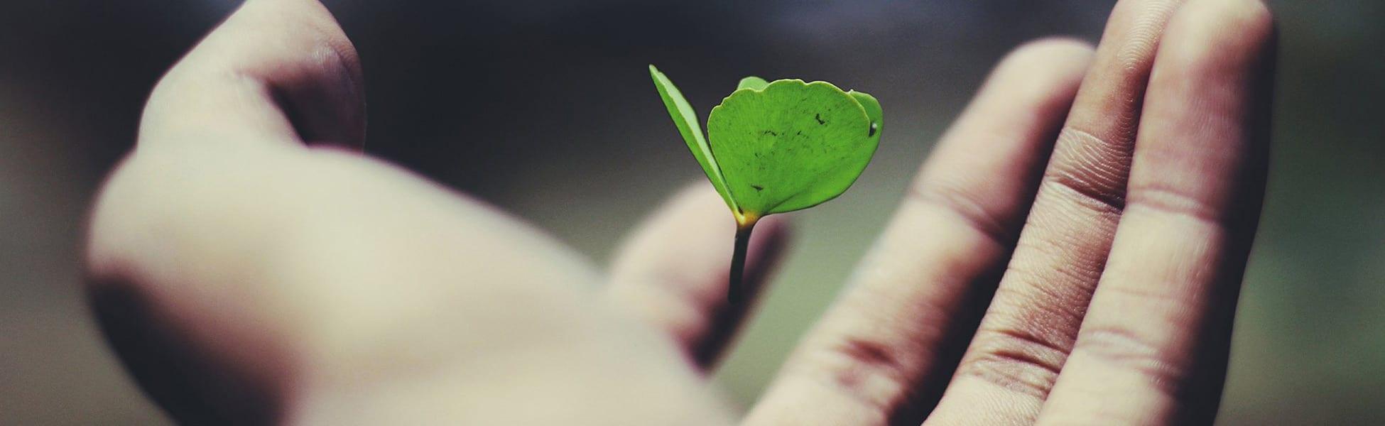 Reviving Your Sexuality