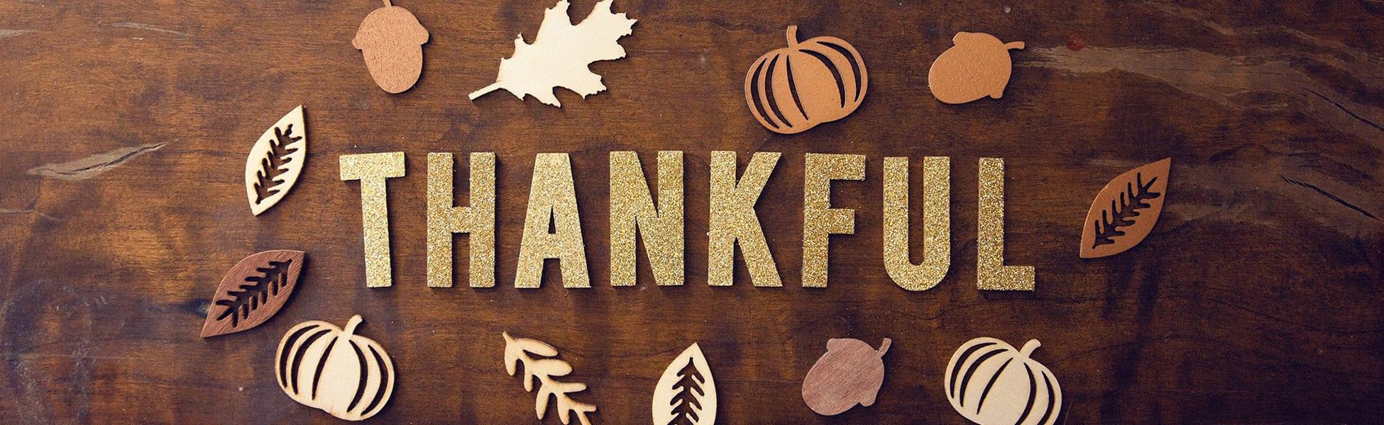 The True Power Of Gratitude