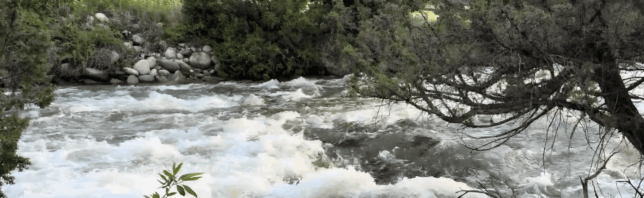 The Freedom Found in New Water