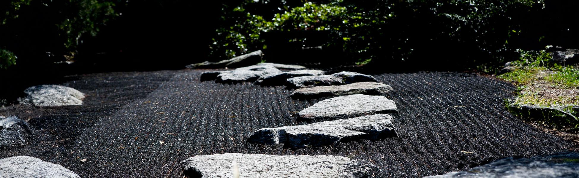 5 Steps to Embracing Change