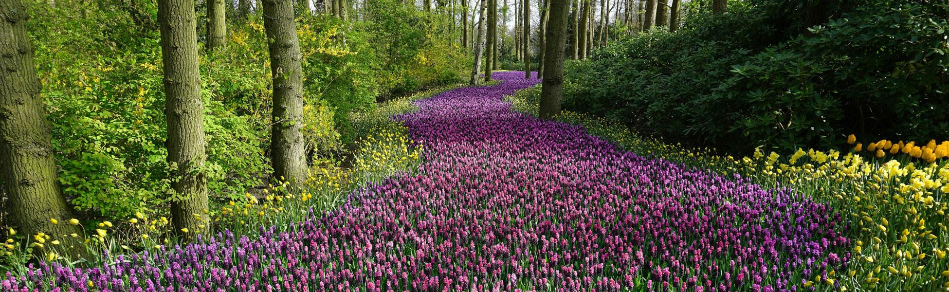 Growing in Health & Spirituality