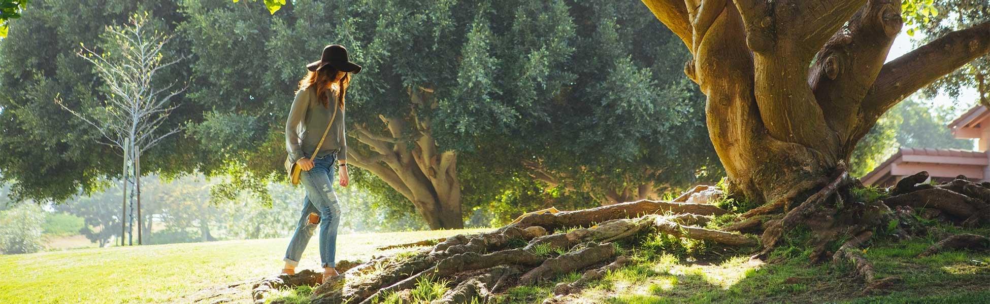 The Roots of Resilience