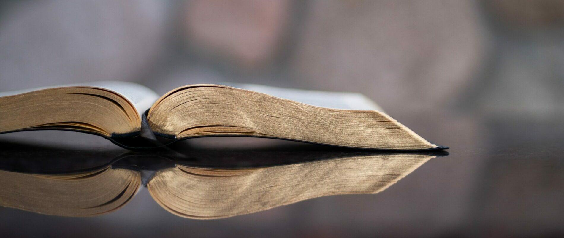 Pure Desire Foundations: Biblically Based - Pure Desire Podcast episode
